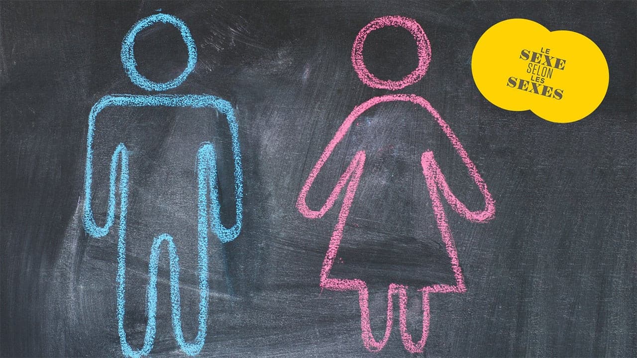 Le sexe selon les sexes backdrop