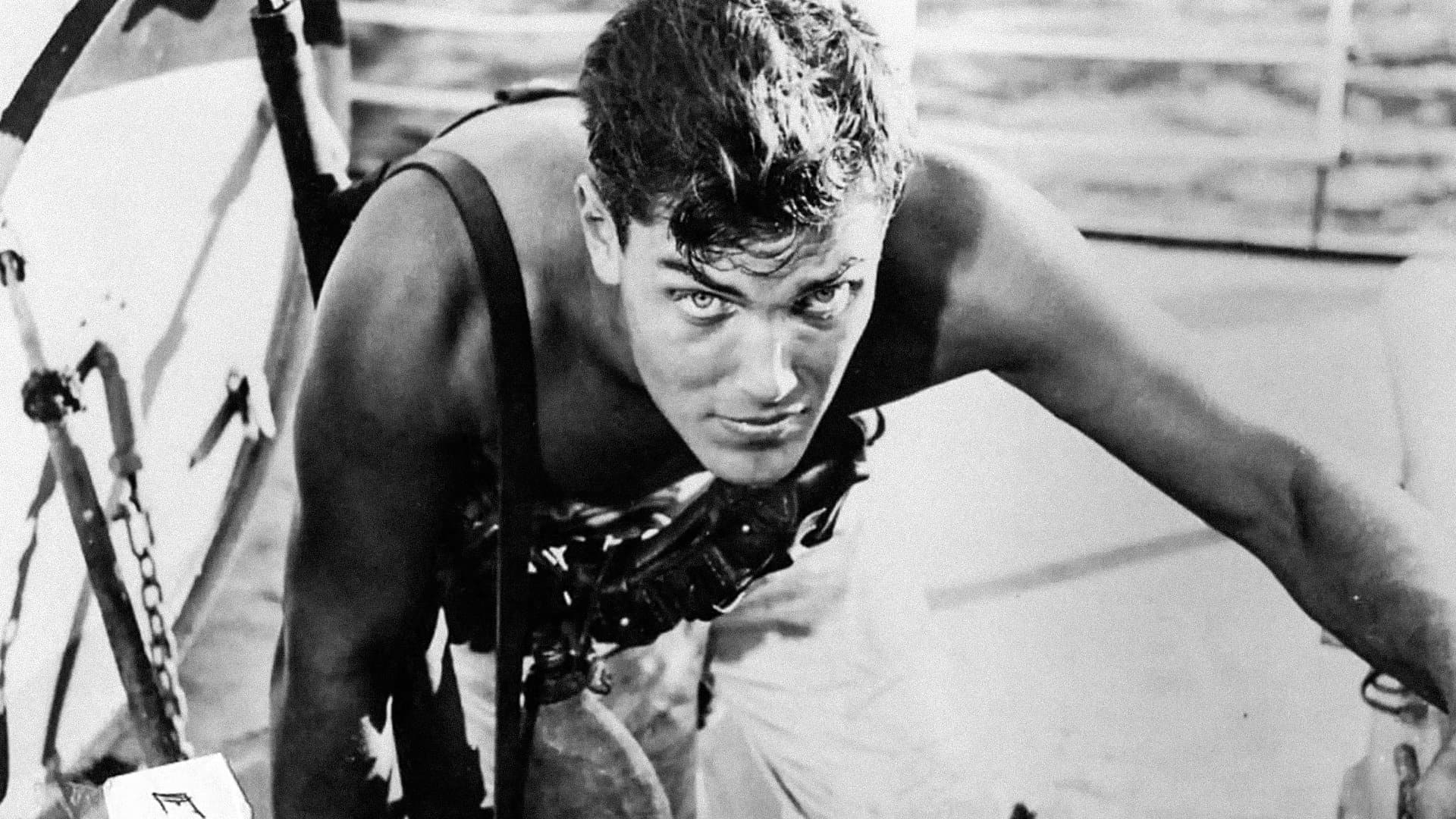 Sailor of the King backdrop