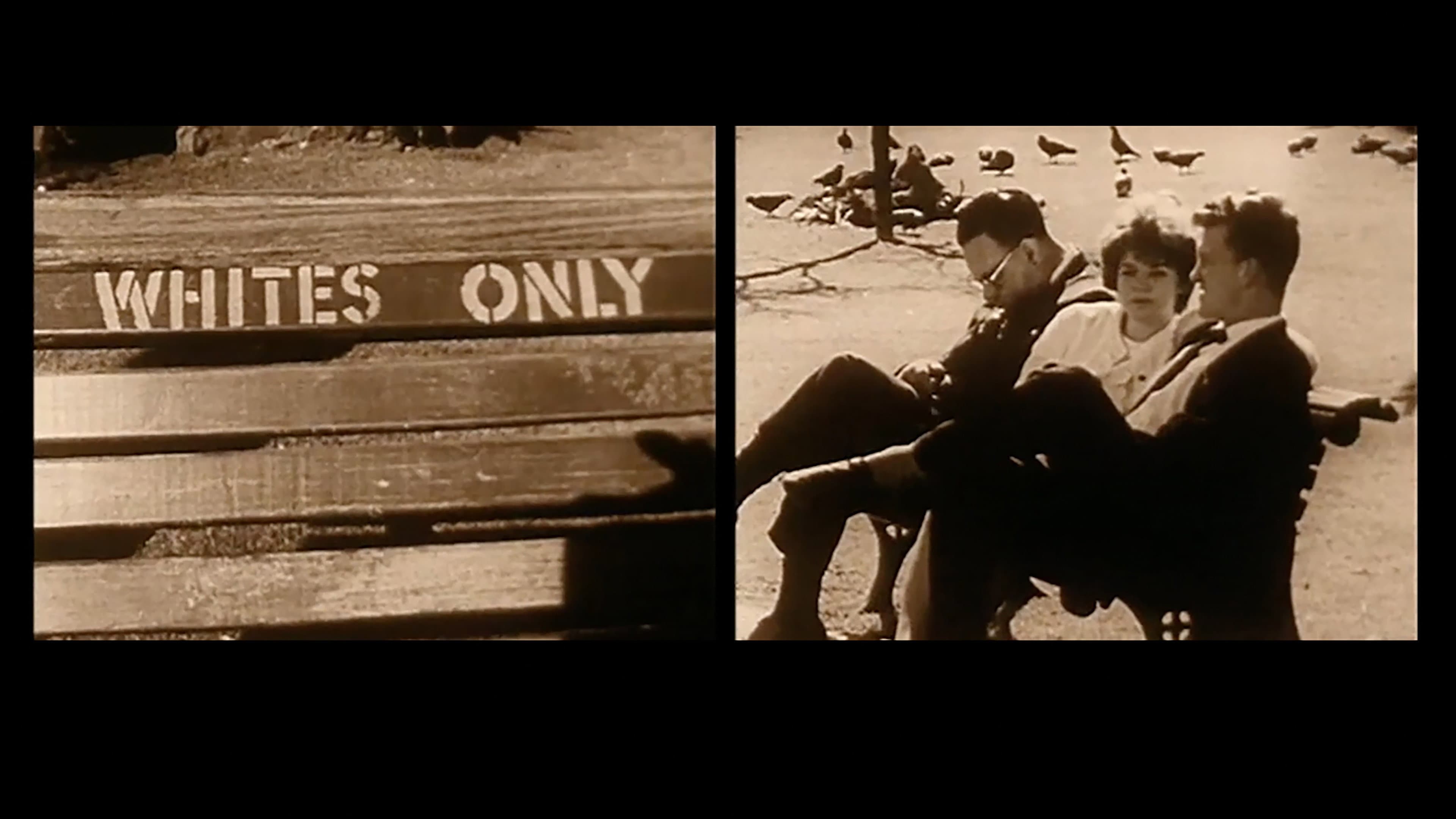 Legacy: The De-Colonized History of South Africa backdrop