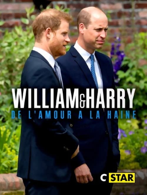 William et Harry : de l'amour à la haine