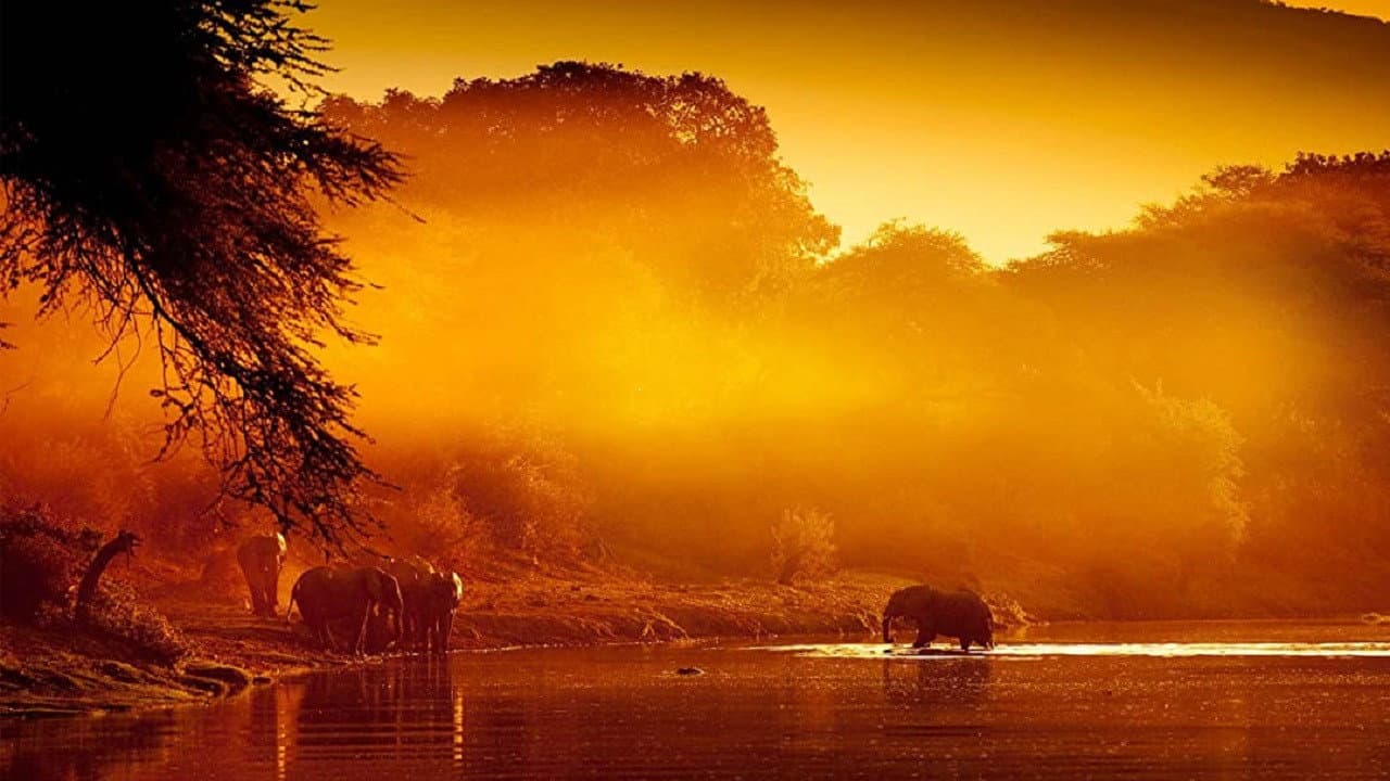 Zambezi: Force of Life backdrop